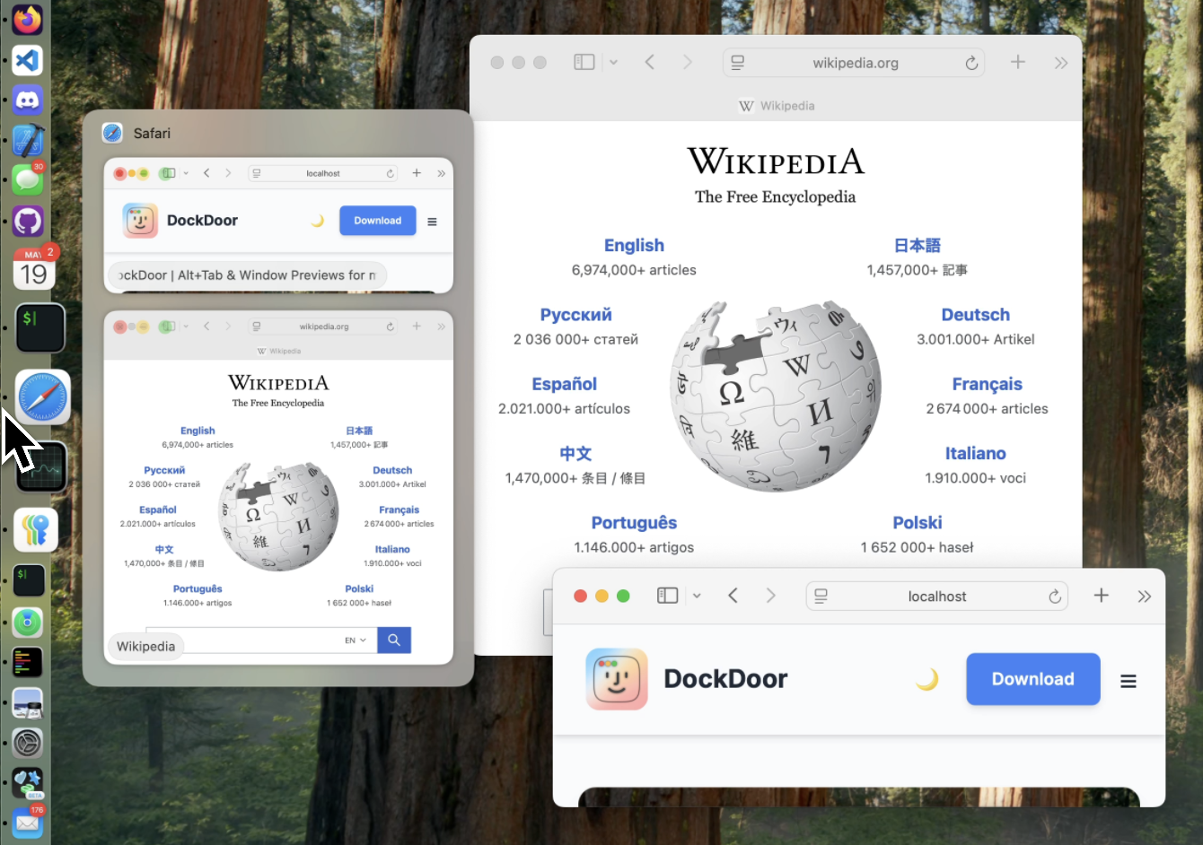 DockDoor in action showing window previews in macOS dock