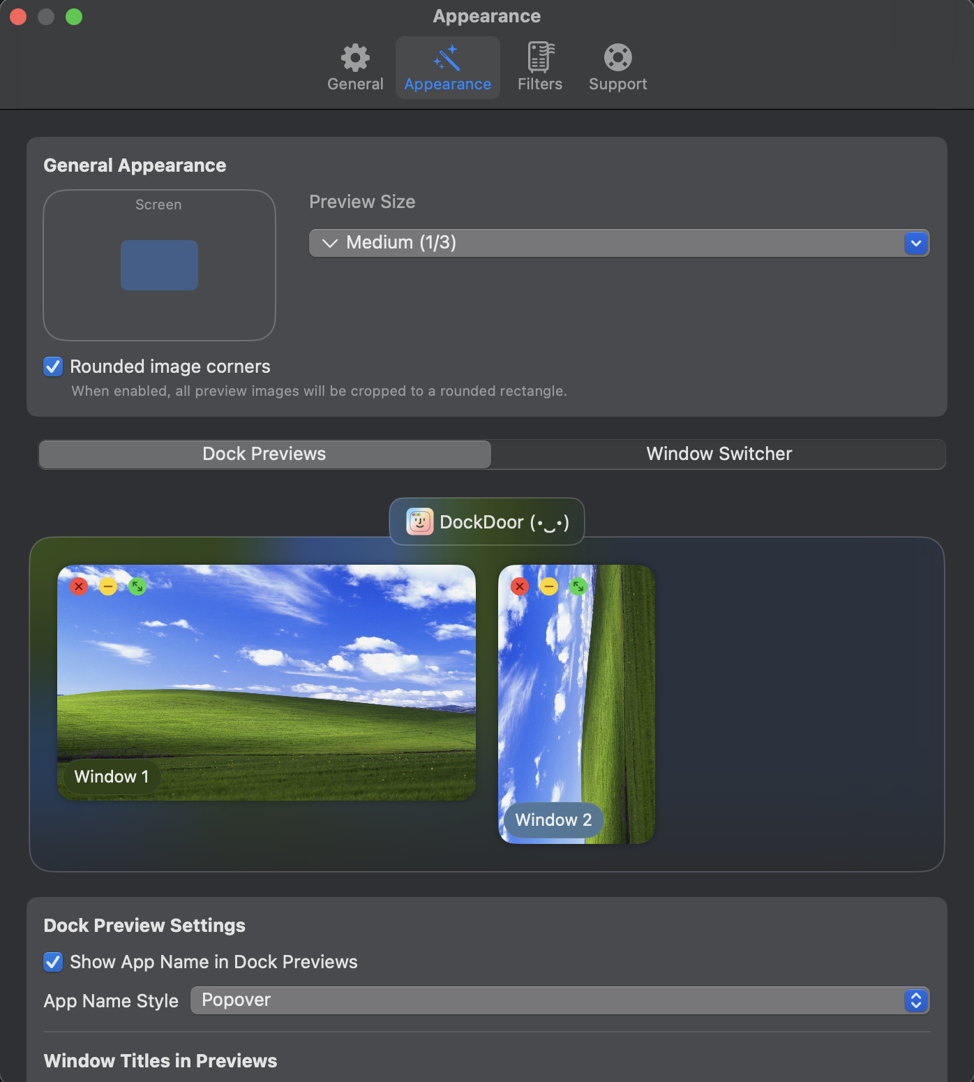 Appearance settings panel